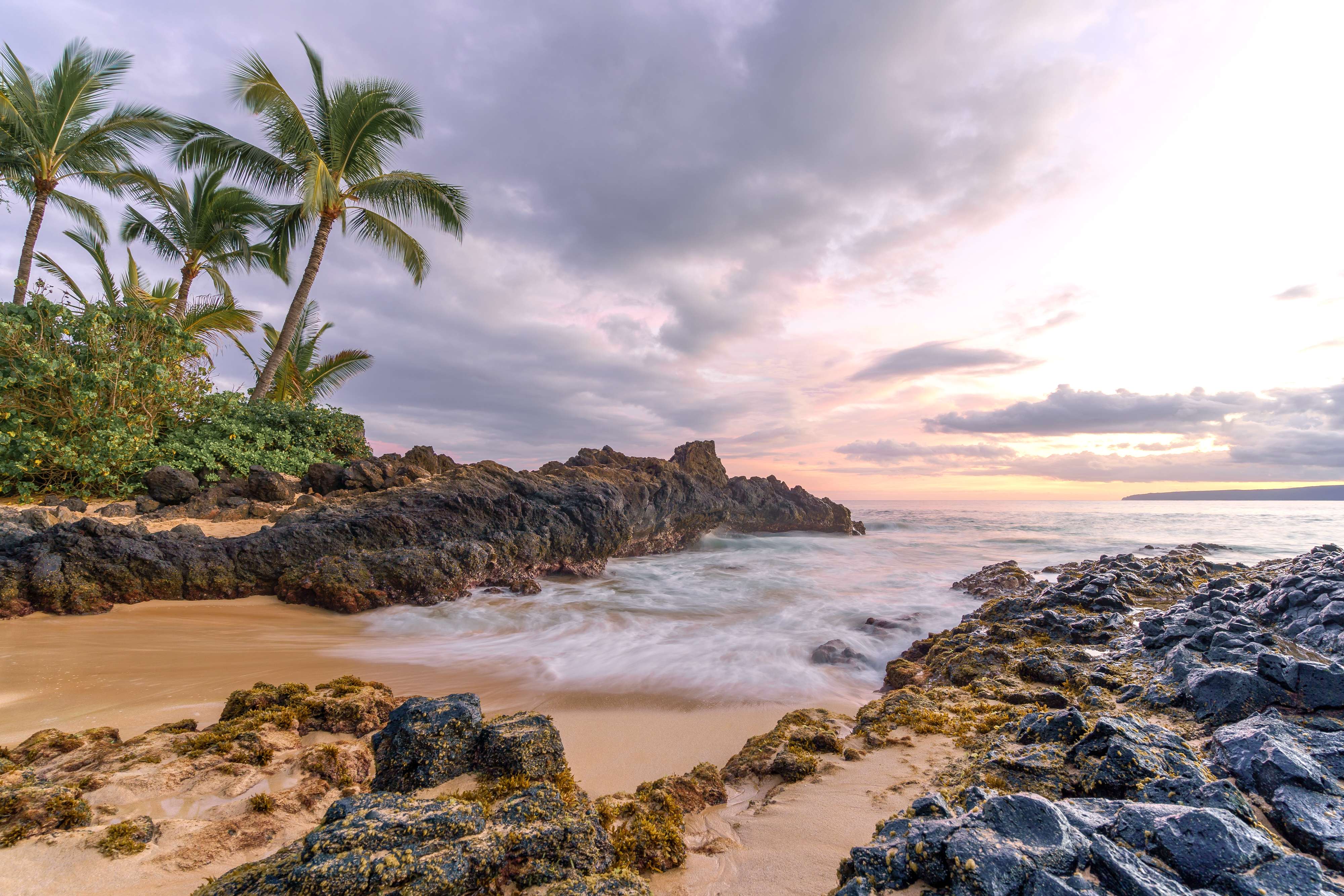 Golden-hour view of a palm-lined Maui cove along the coastline
